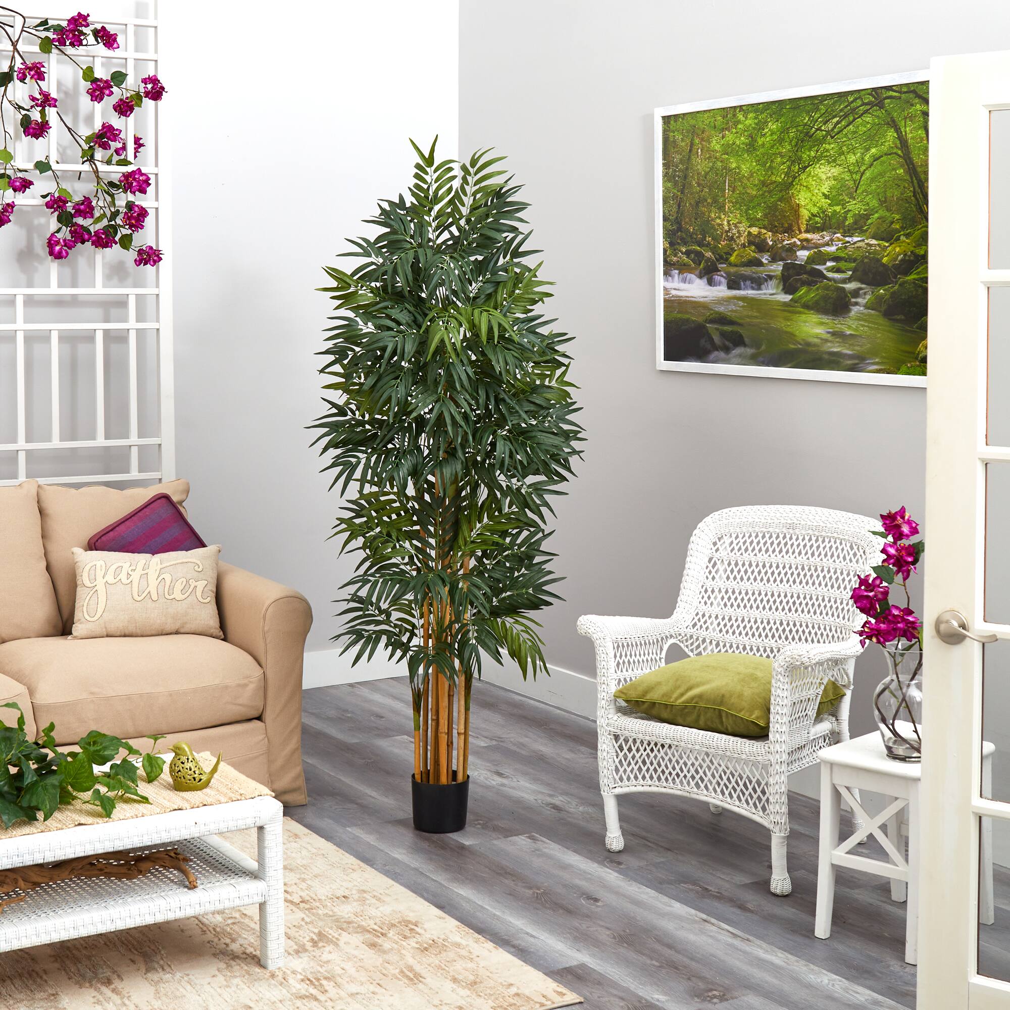 5.5ft. Potted Phoenix Palm Tree